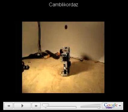 camblicordaz link pic